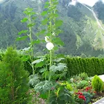 Apartamento Granbichler Siegfried *