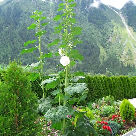 شقة Granbichler Siegfried *